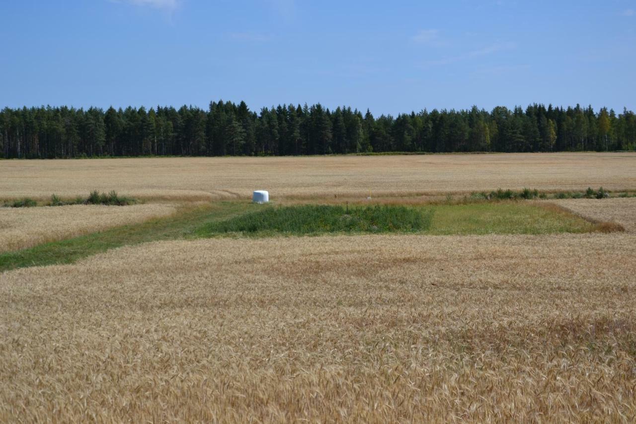 Vaermlandsnaes Valdersrud Stenroese Säffle Kültér fotó